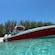 A boat floating in shallow water near the shoreline